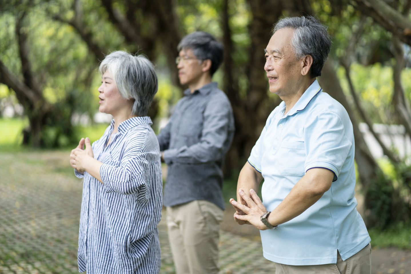 Three Asian adults practicing Tai Chi outdoors